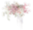 1_edited.png