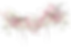 白粉2.png