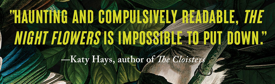 NF Content_Hays.jpg