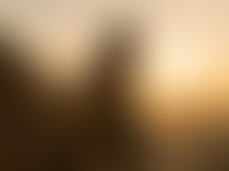 Pursuing a Dream Against All Odds