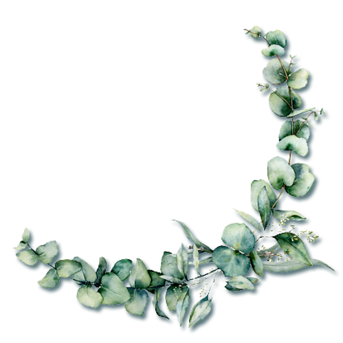 primavera fine.png