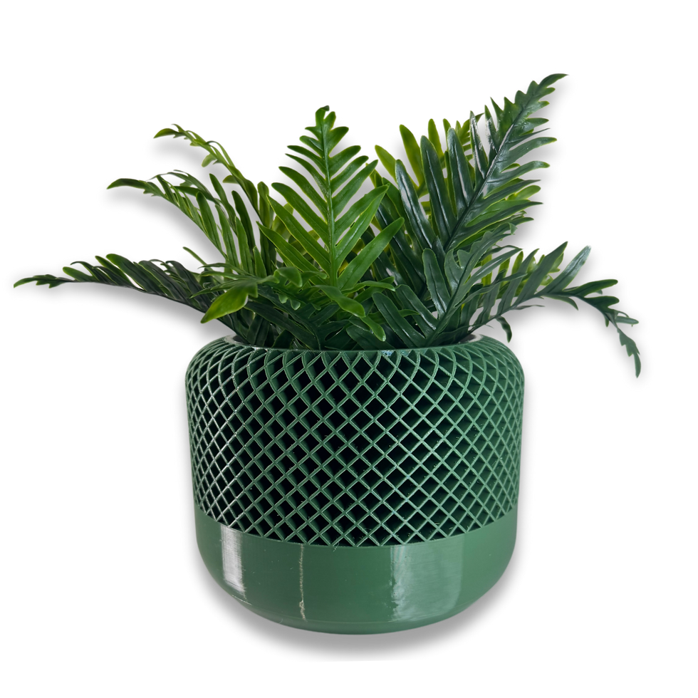 Lush green fern in a stylish, geometrically patterned pot