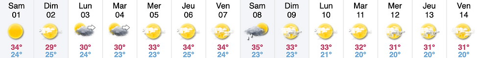 Météo Gruissan.png