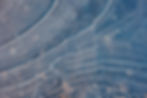 Ice Waves_edited.jpg