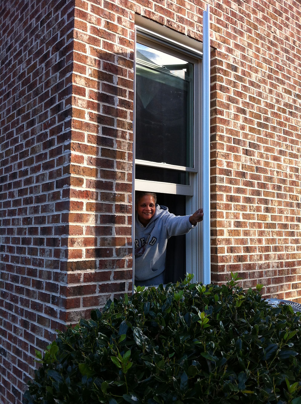 Seattle Crimsafe Window Screen