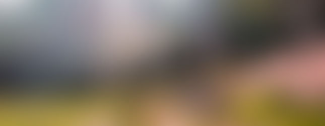 Mein zelt schön eingepasst in die Natur