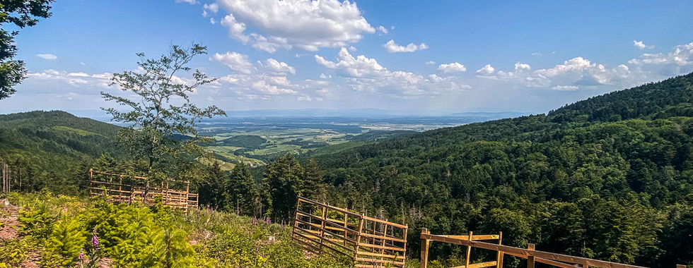 Blick von einem Berg ins Rheintal der Vogesen