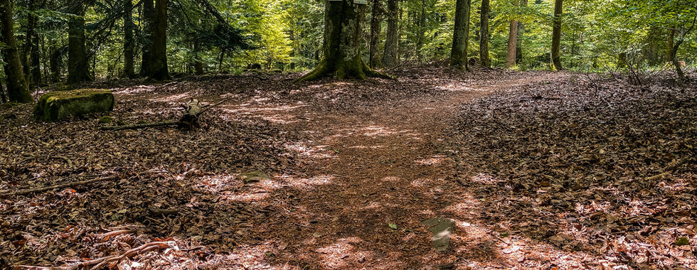 Gut ausgeschilderte Wege erleichtern das wandern