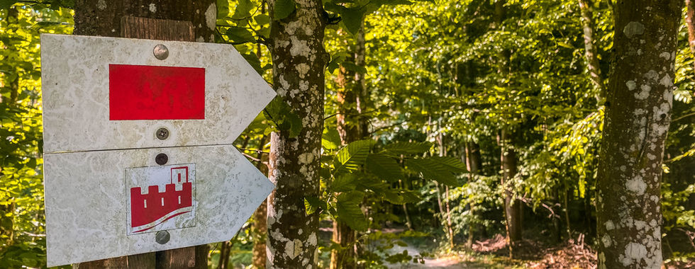 GR5 und Burgenweg in den Süd-Vogesen