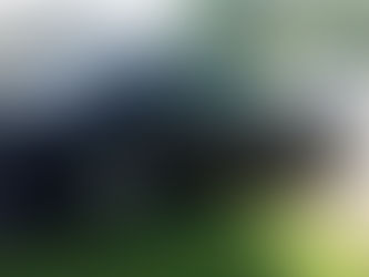 Bet on Black: 1991 Mercedes-Benz 300CE with 54k Miles