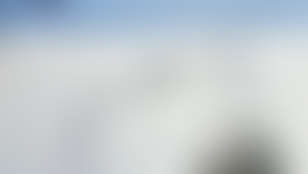 Når dyr møter loven