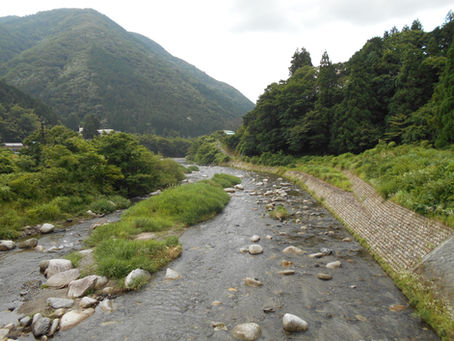 R8年7月13日 今朝の河川