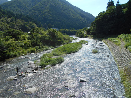 令和8年7月3日 今朝の河川