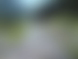R8年8月6日 今朝の河川