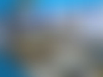 R8.7.28 釣果情報