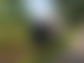 Bereavement Group celebrates its tenth anniversary