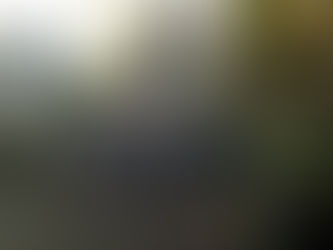 Frohe Weihnachten 2019