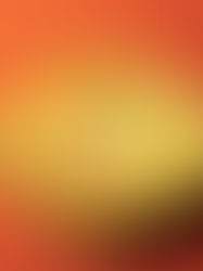 FBI releases annual internet crime complaint report