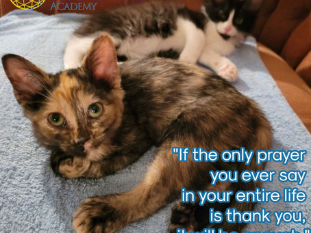 💗🙏 Thank you! 🙏💗