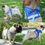 थंबनेल: Reflective Safety Pet Dog Harness and Leash Set for Small Medium Dogs Cat Harnes