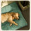 الصورة المصغرة: Big Dog Mat Corduroy Pad for Medium Large Dogs Oversize Pet Sleeping Bed Big Thi