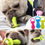 الصورة المصغرة: Pet Toys for Small Dogs Rubber Bite Resistance Dog Toy Teeth Cleaning Chew Train