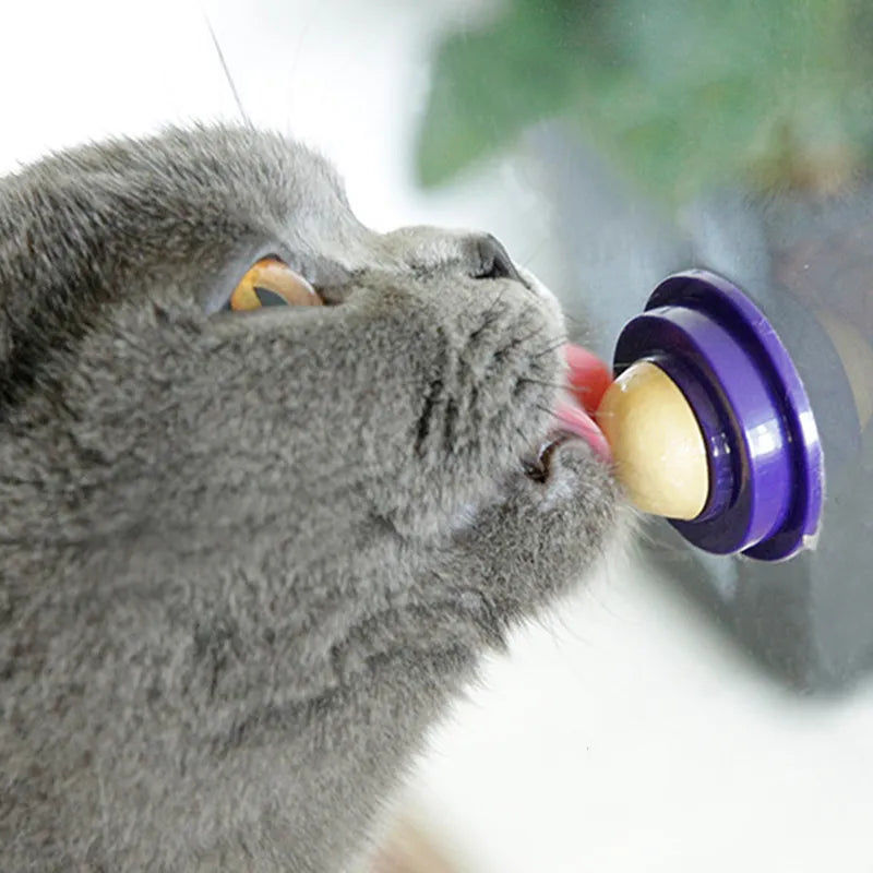 Thumbnail: Catnip Wall Ball Cat Toys Pet Toys for Cats Clean Mouth Promote Digestion Kitten