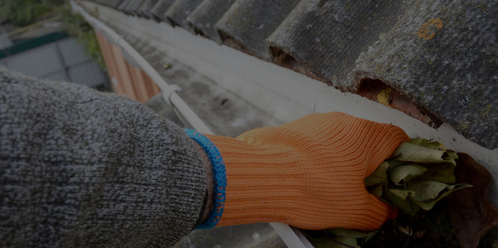 gutter-cleaning-golden7-Ways-to-Safely-Clean-Your-Gutters-1024x511_edited.jpg
