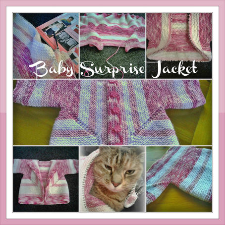 Project: Baby Surprise Jacket