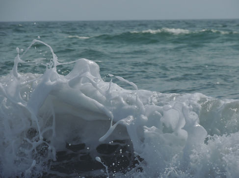 DSCN6178.JPG