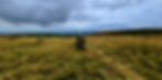 Three standing stones at Mitchell’s Fold stone circle set in open upland grassland, with distant hills and a wide, clouded sky.