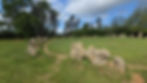 The King’s Men stone circle at the Rollright Stones in Oxfordshire, showing the weathered standing stones enclosing the grassy interior.