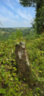 Standing Stone above the Taf valley Pembrokeshire Wales