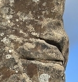 Cork Stone Face