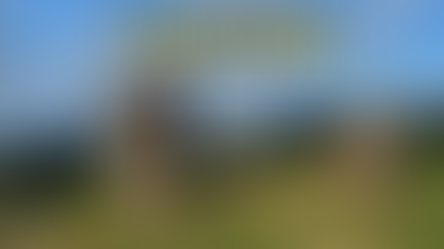 Grey Ladies Nine Stones Close stone circle on Harthill Moor in the Peak District with standing stones in a wider prehistoric landscape near Robin Hood’s Stride