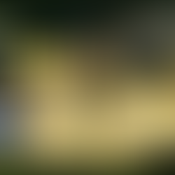 Picture of the lost polissoir stone at Gors Fawr Stone Circle in Preseli, Wales