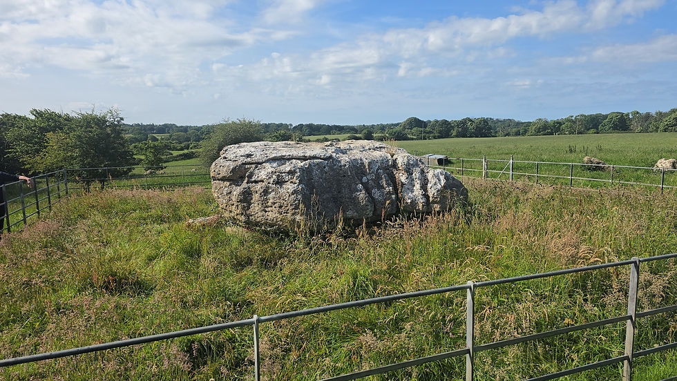 Elevated view of Lligwy Neolithic Burial Chamber on Anglesey, showing the massive capstone within the surrounding fields and hedged landscape.