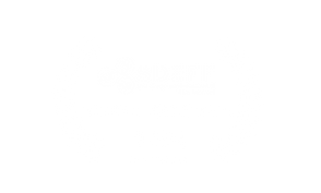 SDEFF Official Selection Logo (white laurel) copy.png