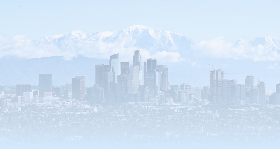 WHAT WE DO WEBPAGE BACKGROUND.png