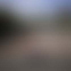 Reactivan desalojo de la última residente en la calle Iglesias en Santurce