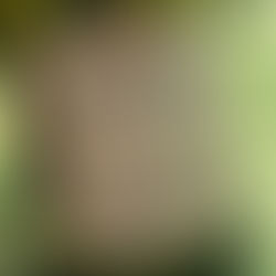 Mantiqueira, o terroir da Casa Verrone