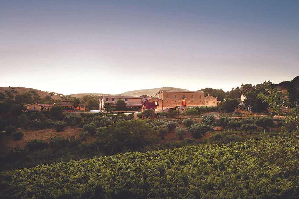 Tasca D'Almerita: A Essência do Vinho Siciliano