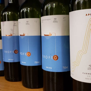 Viña del Triunfo e seus vinhos autorais