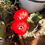 Thumbnail: Echinopsis grandiflora 'Red' OP