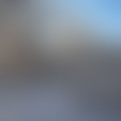 Get Your Landscaping Ready for the Holidays