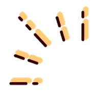 simplicity image