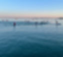 IMG_3819_edited.jpg