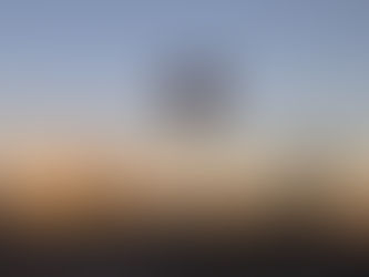 A little bit about your Gyrotonic and Gyrokinesis Trainer