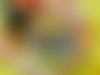 もうすぐ春ですね