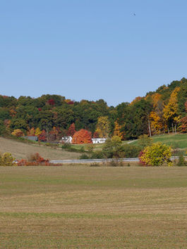 Autumn in Ohio